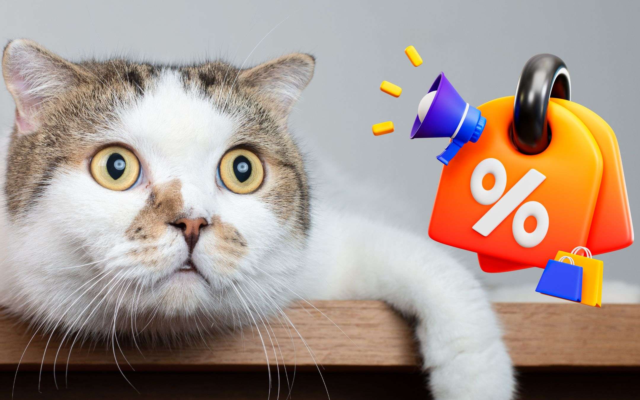 50 cose in sconto su Amazon che dovresti prendere ADESSO (da 0,99€ a 19,99€)