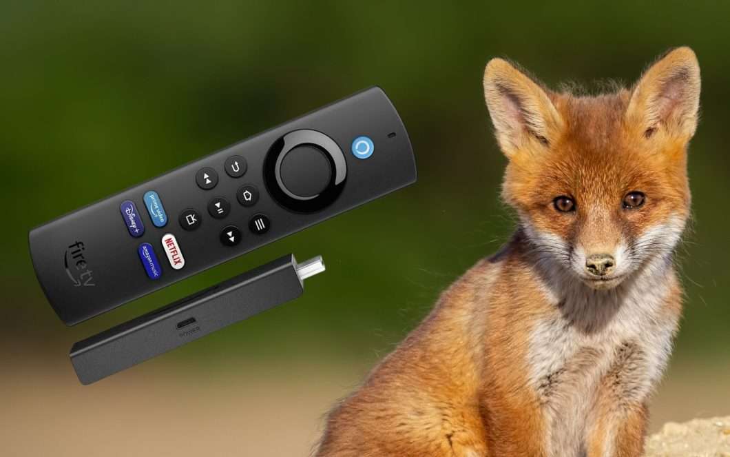 fire-tv-stick-lite-digitale-terrestre-1060x663.jpg