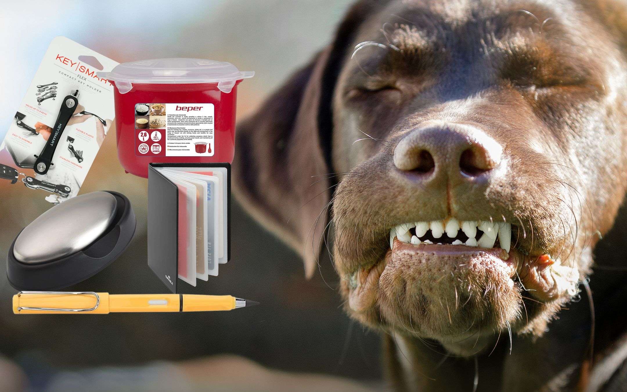 Amazon dello STUPORE: 5 gadget a meno di 10€ che semplificano la vita Amazon dello STUPORE: 5 gadget a meno di 10€ che semplificano la vita