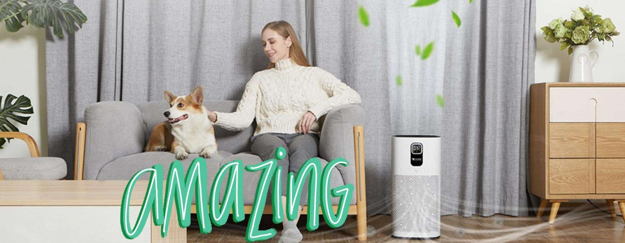 Proscenic A9: purificatore d'aria STUPENDO a prezzo WOW Proscenic A9: purificatore d'aria STUPENDO a prezzo WOW