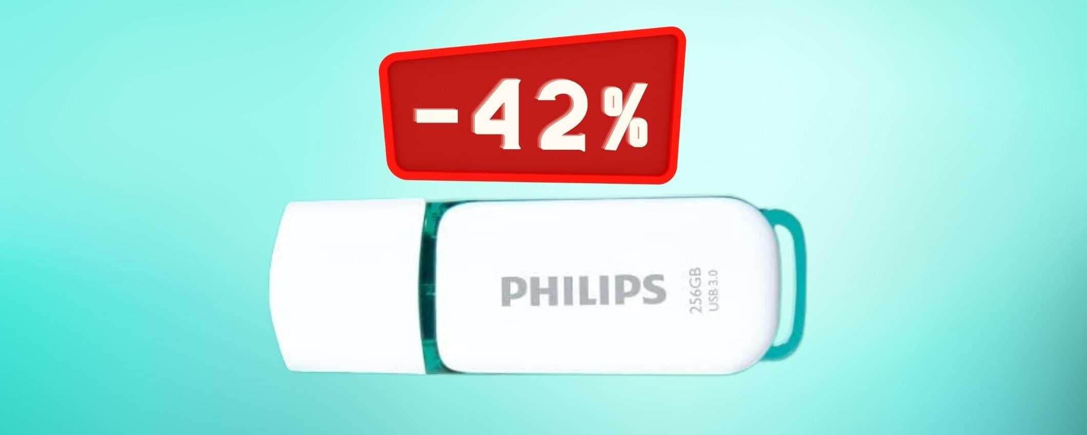 Chiavetta USB da 256GB: prezzo CLAMOROSO su Amazon (23€) Chiavetta USB da 256GB: prezzo CLAMOROSO su Amazon (23€)