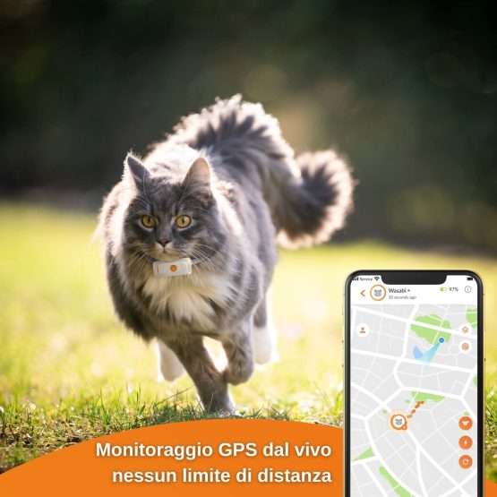 collare gps