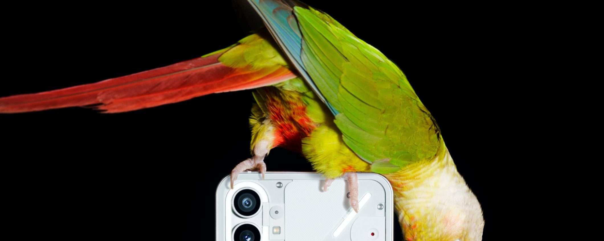 Nothing Phone (1): il telefono Nothing Phone (1): il telefono