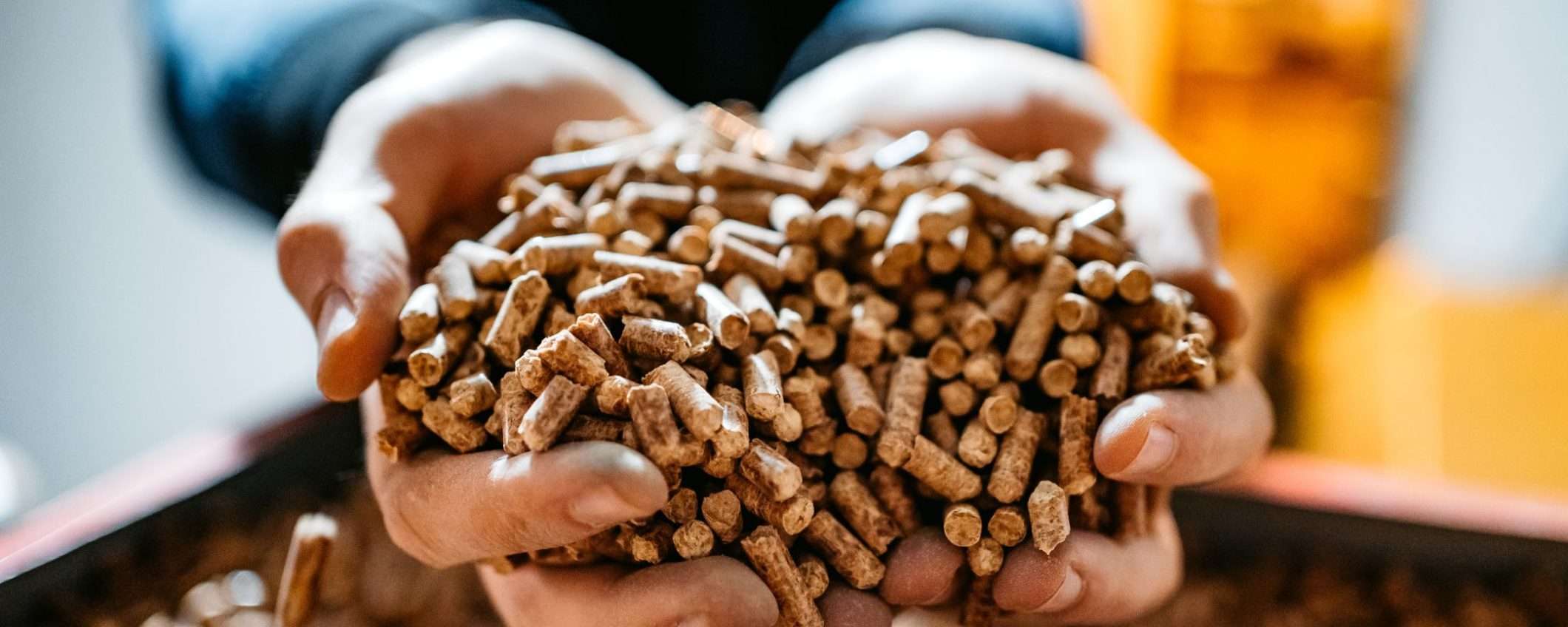 Pellet troppo costoso: il kit da 6€ per passare al nocciolino SPOPOLA