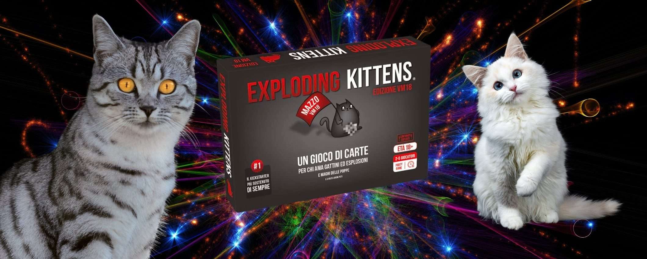 Fai saltare in aria i GATTINI con questo gioco di carte unico Fai saltare in aria i GATTINI con questo gioco di carte unico