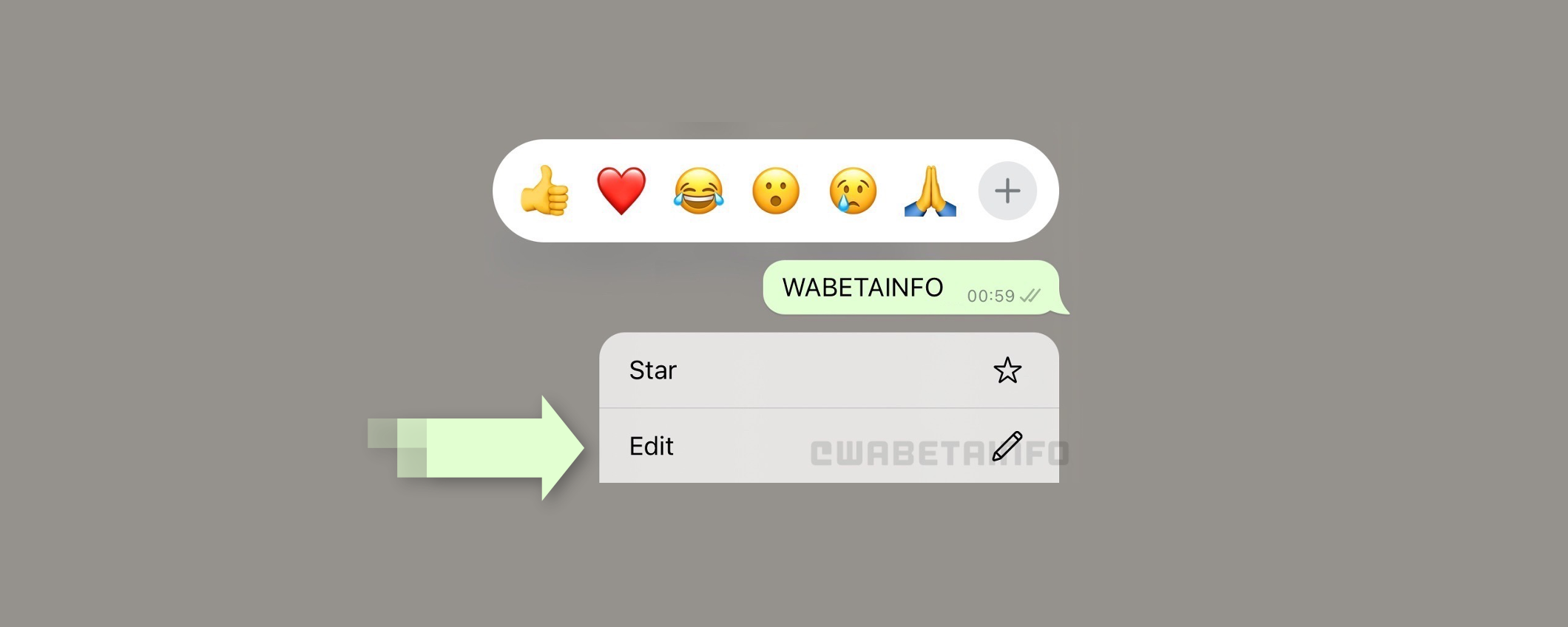 WhatsApp: modifica dei messaggi anche sulla versione per iOS WhatsApp: modifica dei messaggi anche sulla versione per iOS