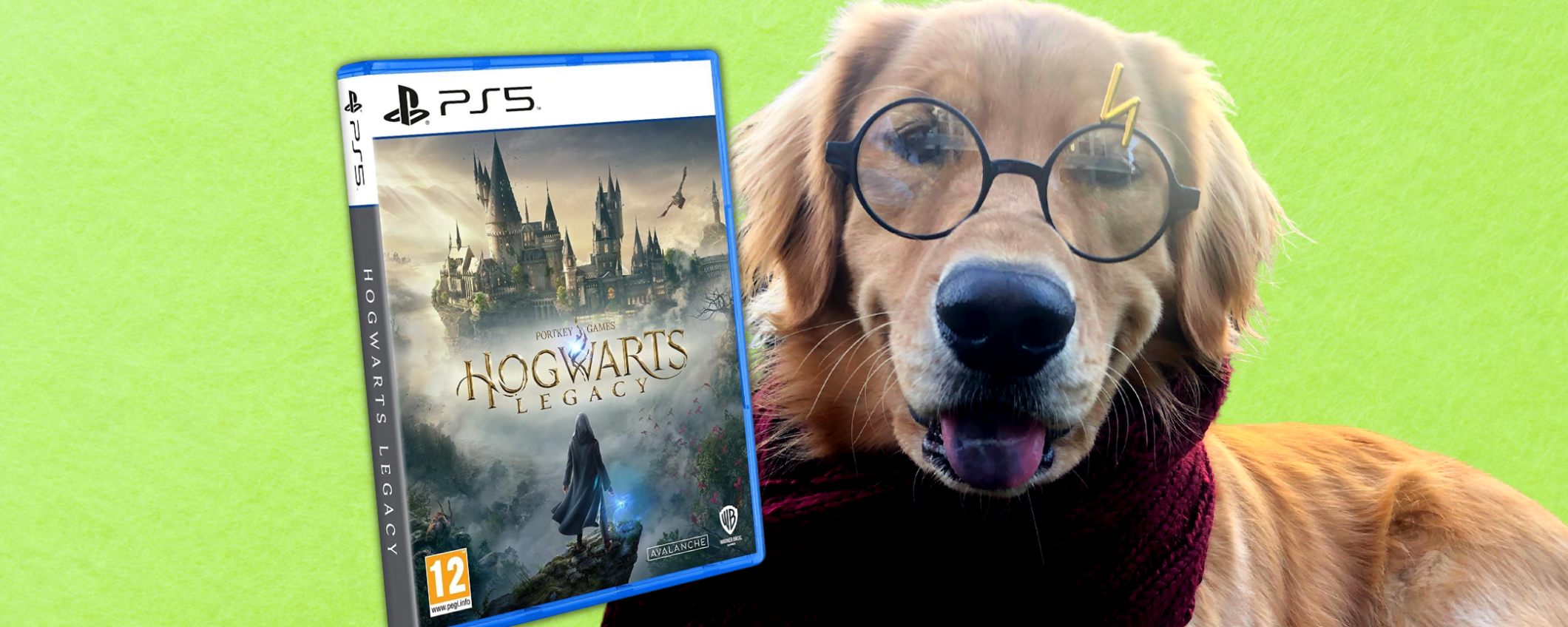 Vivi la magia di Harry Potter con Hogwarts Legacy PS5 in SCONTO Vivi la magia di Harry Potter con Hogwarts Legacy PS5 in SCONTO