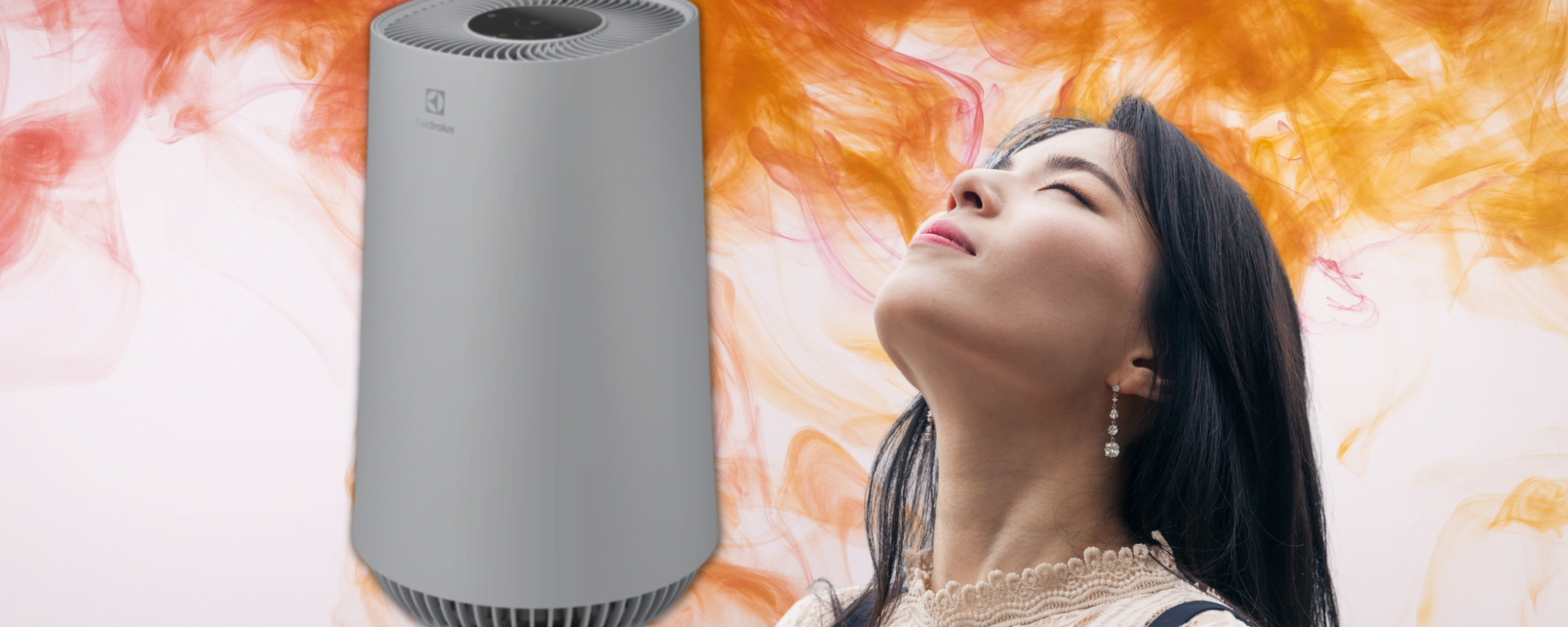 Elmina l'aria cattiva con questo Purificatore Electrolux a un prezzo BOMBA Elmina l'aria cattiva con questo Purificatore Electrolux a un prezzo BOMBA