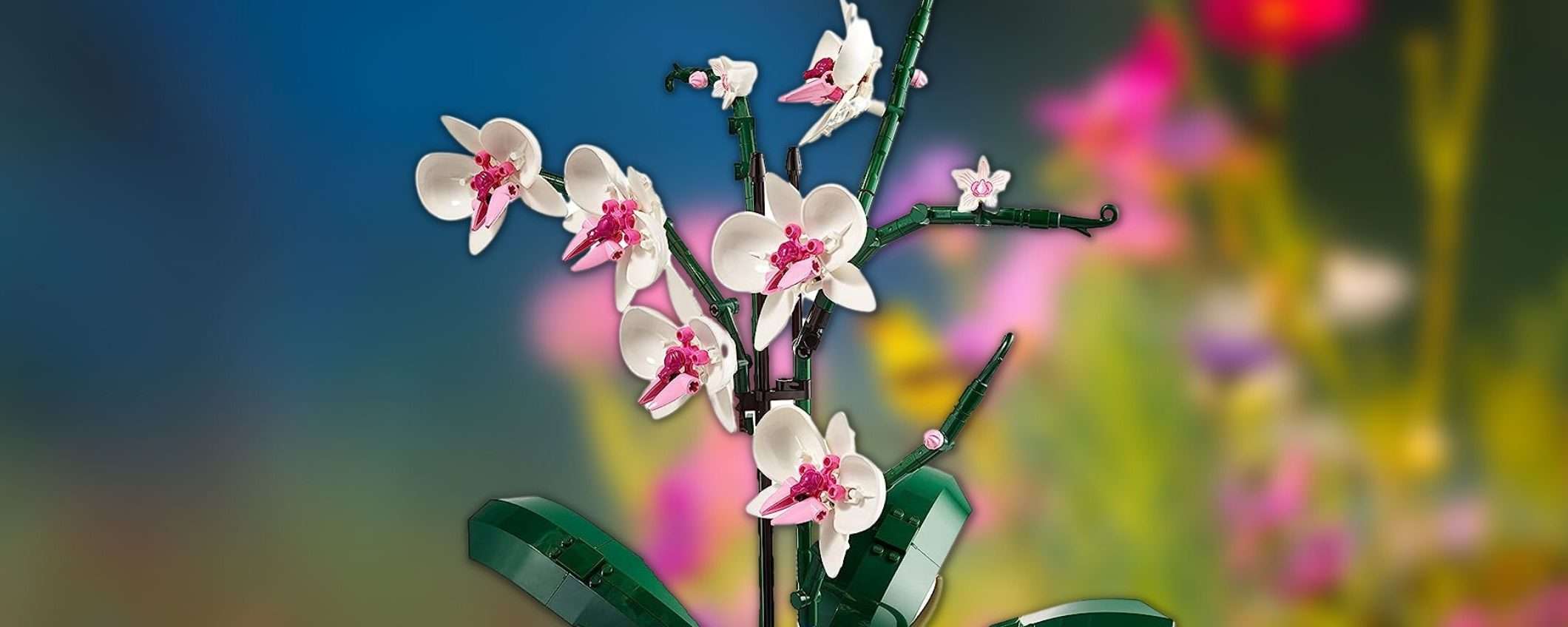 Con il set LEGO Orchidea è VERA primavera: offerta Amazon a 39€ Con il set LEGO Orchidea è VERA primavera: offerta Amazon a 39€
