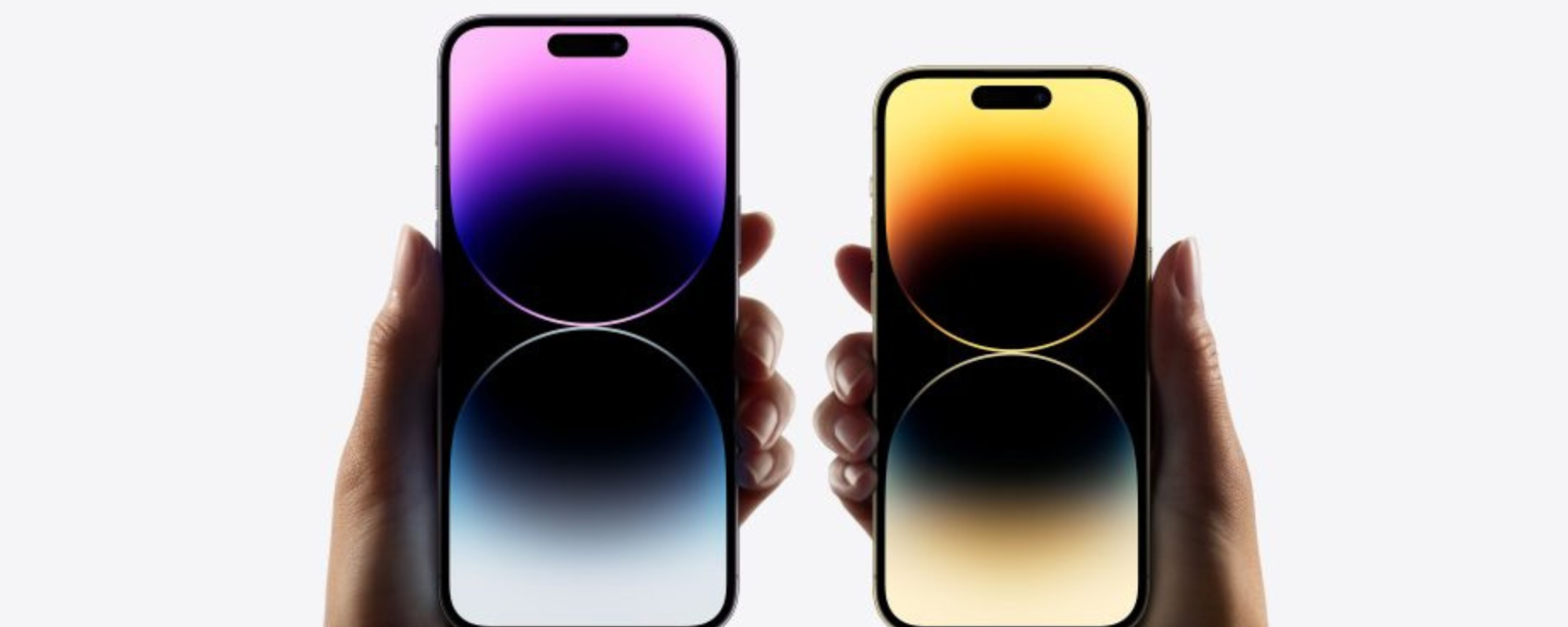 iPhone 14 Pro Max con lo sconto del 13% su Amazon: IMPERDIBILE iPhone 14 Pro Max con lo sconto del 13% su Amazon: IMPERDIBILE