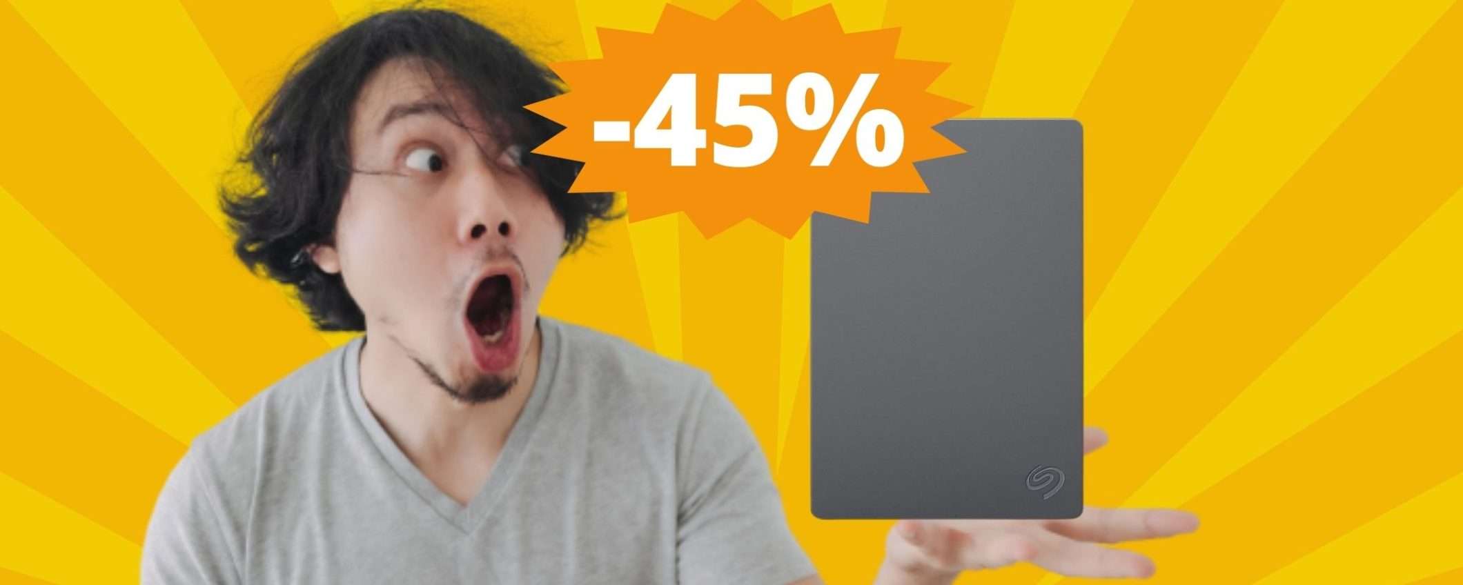 Seagate Basic: hard disk esterno da 2TB in super offerta Seagate Basic: hard disk esterno da 2TB in super offerta