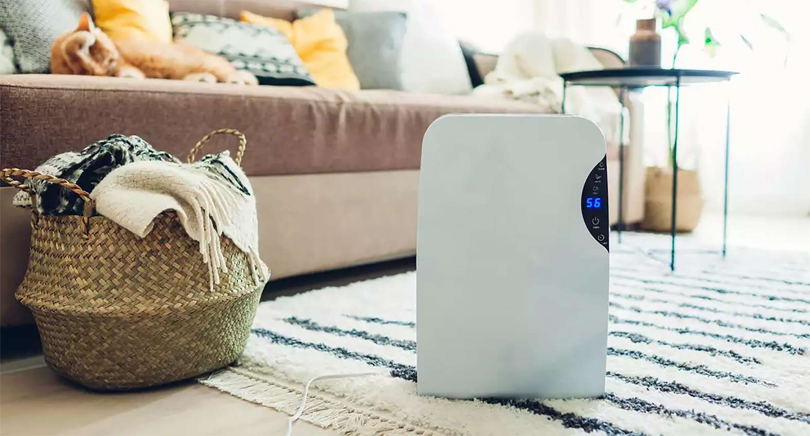 Miglior deumidificatore portatile e smart del 2025: guida alla scelta Miglior deumidificatore portatile e smart del 2025: guida alla scelta