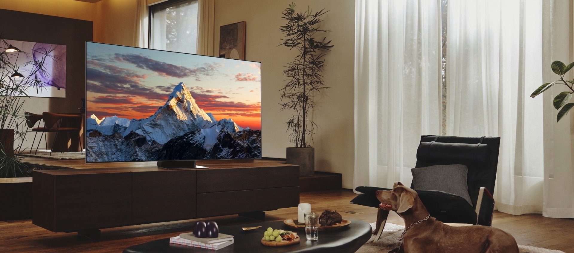 TV QLED Samsung da 50 TV QLED Samsung da 50