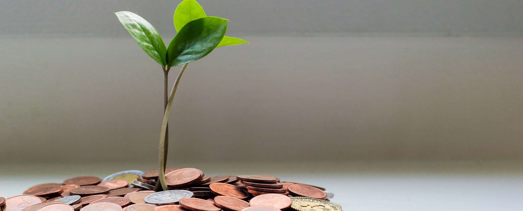 Conto Deposito con interessi al 4% per 6 mesi: QUESTA è la MIGLIORE OFFERTA Conto Deposito con interessi al 4% per 6 mesi: QUESTA è la MIGLIORE OFFERTA