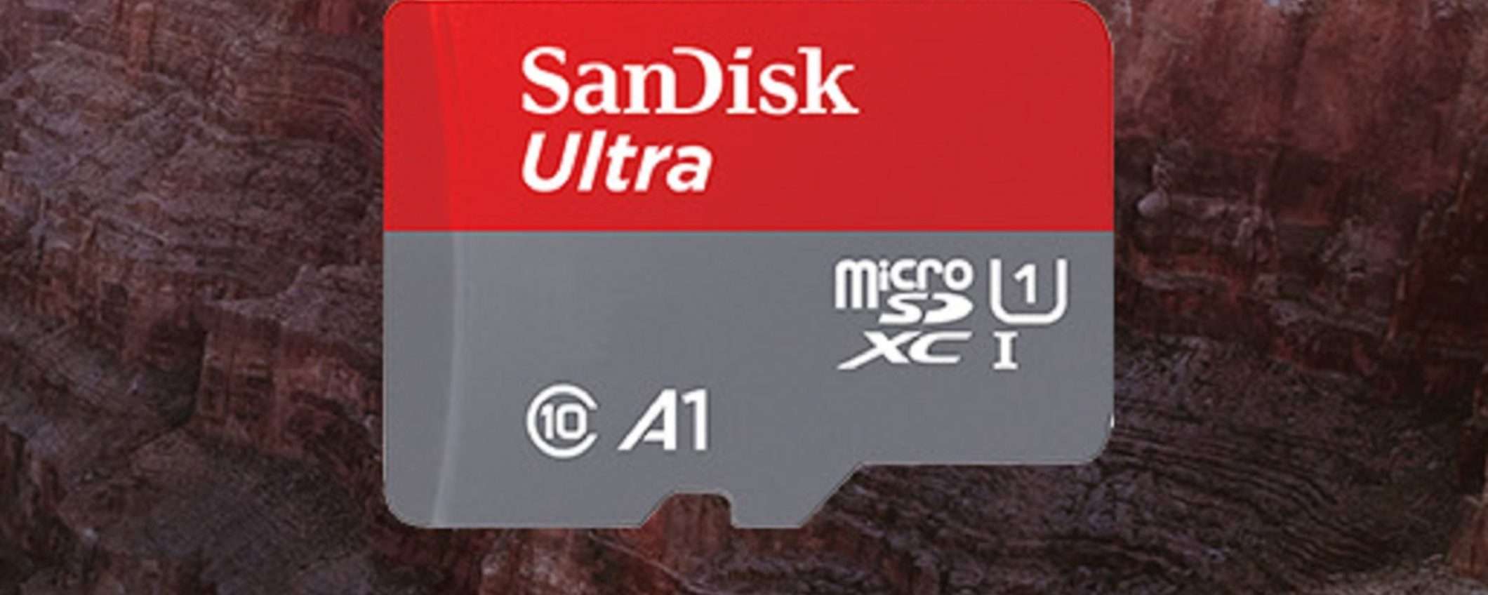 SanDisk Ultra microSDXC da 128GB: a soli 15€ è un AFFARONE SanDisk Ultra microSDXC da 128GB: a soli 15€ è un AFFARONE