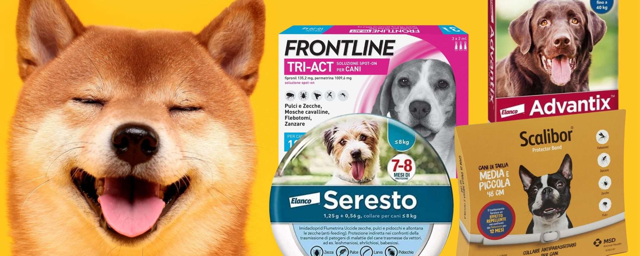 Antiparassitario di qualità per cani: i MIGLIORI costano molto meno su Amazon Antiparassitario di qualità per cani: i MIGLIORI costano molto meno su Amazon