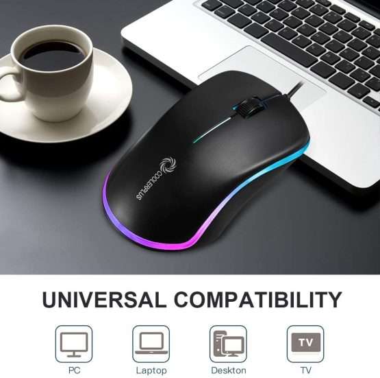 mouse