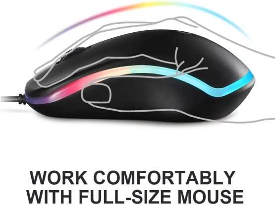 mouse
