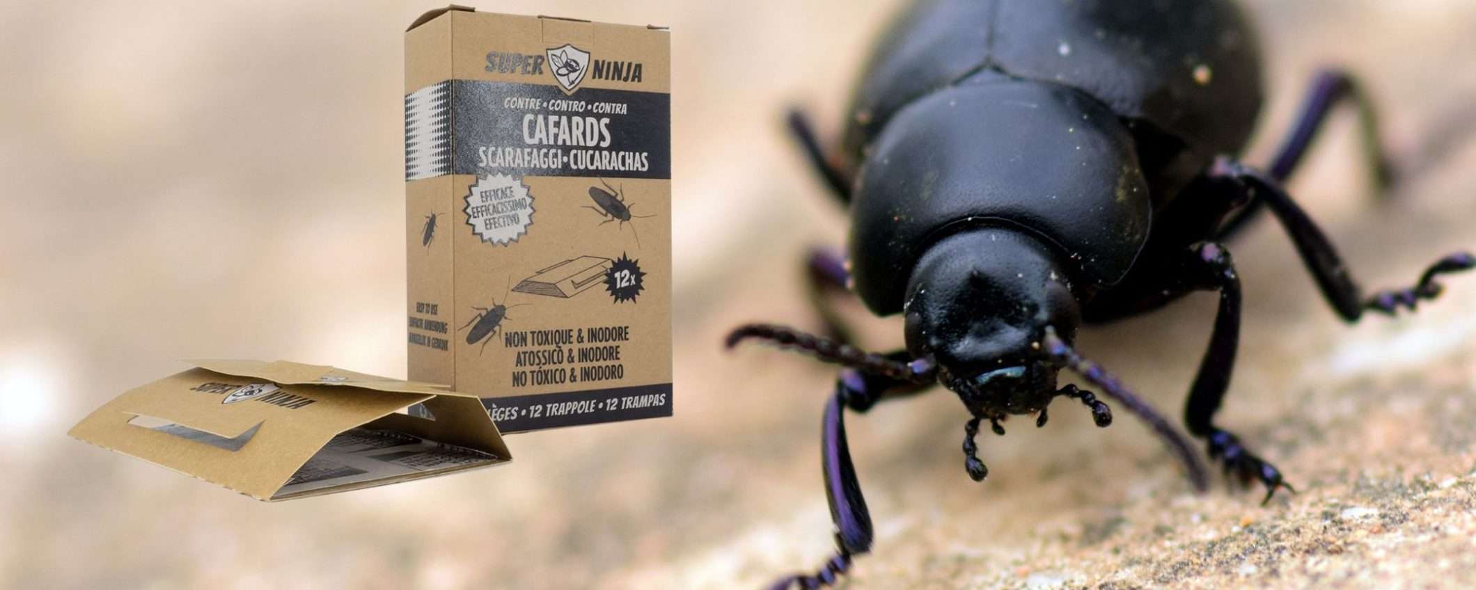 Liberati ADESSO dagli scarafaggi: genialata a meno di 1€ al pezzo (promo scorta) Liberati ADESSO dagli scarafaggi: genialata a meno di 1€ al pezzo (promo scorta)
