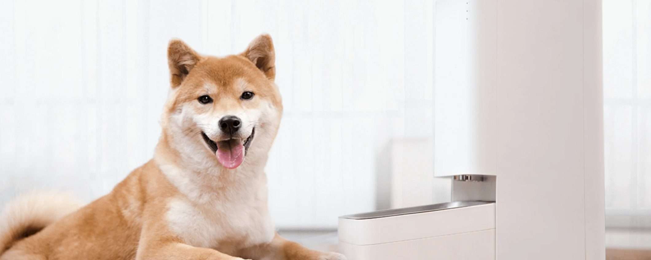 Xiaomi Smart Pet Food Feeder torna in offerta: la soluzione DEFINITIVA quando sei in vacanza Xiaomi Smart Pet Food Feeder torna in offerta: la soluzione DEFINITIVA quando sei in vacanza