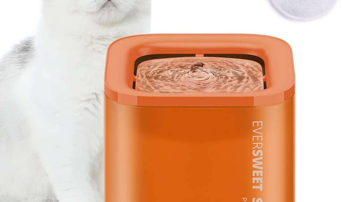 Questo distributore d'acqua per gatti ti svolta la vita: oggi è in offerta su Amazon Questo distributore d'acqua per gatti ti svolta la vita: oggi è in offerta su Amazon