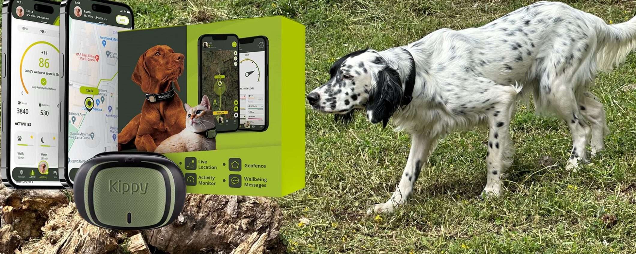 Come uno smartwatch, ma per cani e gatti: GPS, passi e calorie (ora 33€, -45%)