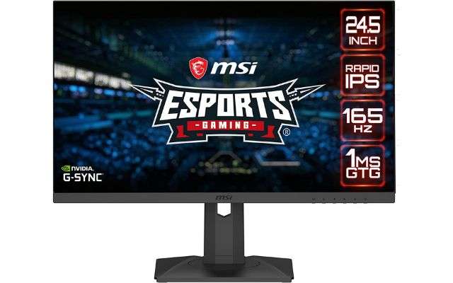 msi monitor amazon