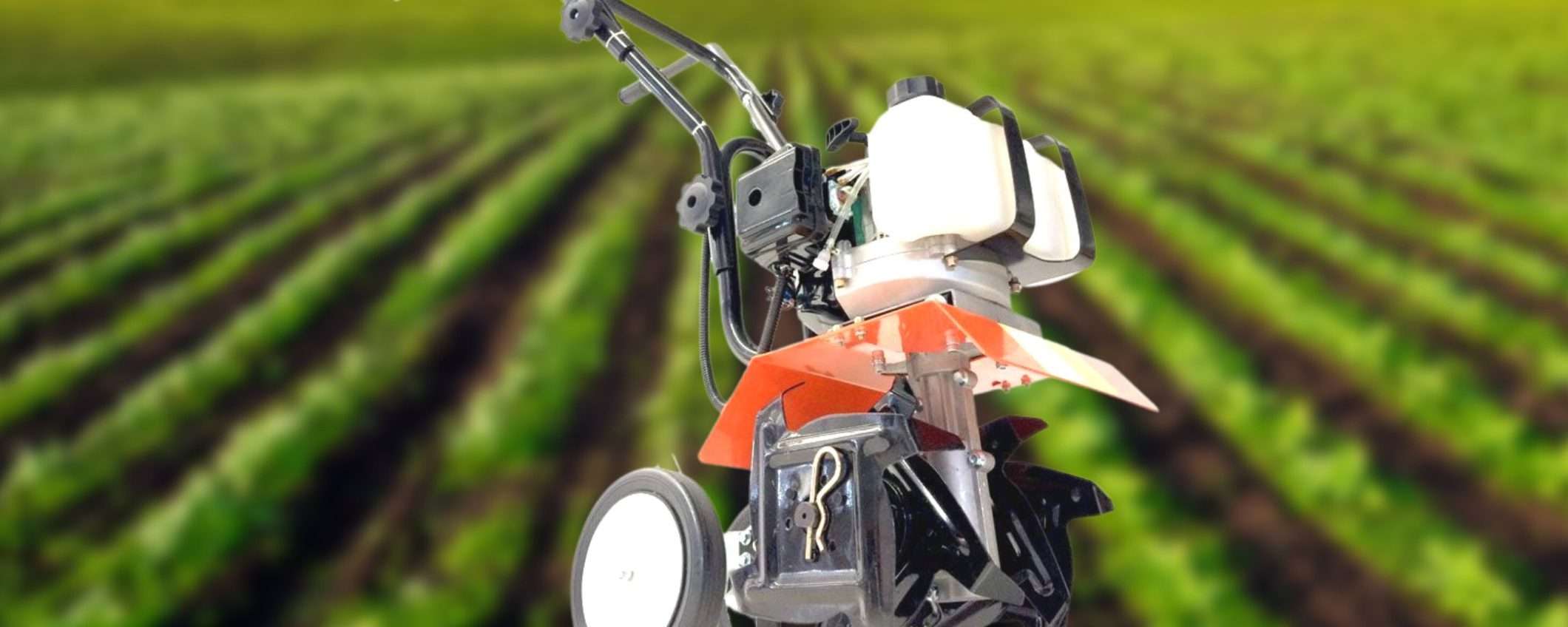 Questa motozappa con motore a scoppio è una BESTIA e costa niente (140€) Questa motozappa con motore a scoppio è una BESTIA e costa niente (140€)
