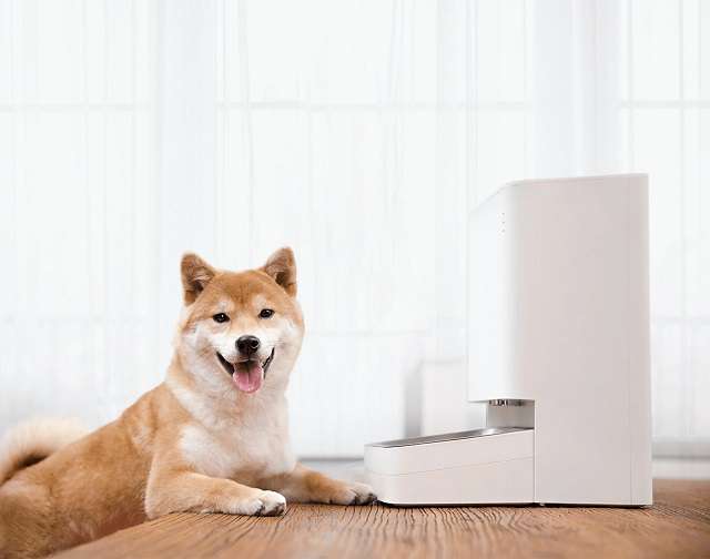 xiaomi smart pet food feeder cane
