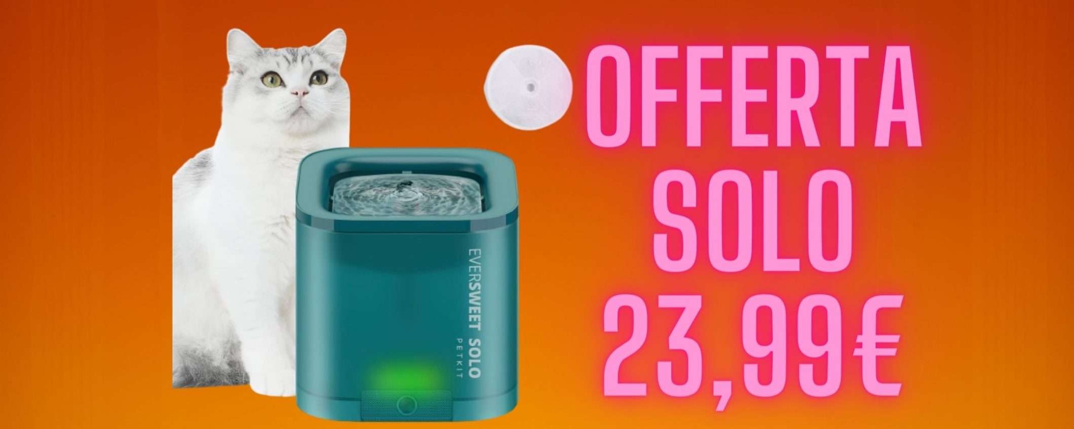 Con questo distributore d'acqua automatica i tuoi gatti non saranno mai assetati Con questo distributore d'acqua automatica i tuoi gatti non saranno mai assetati