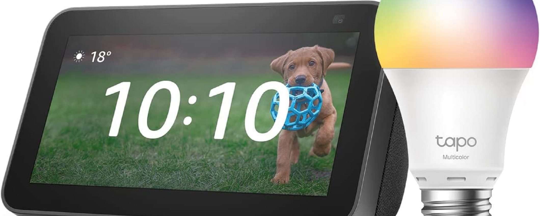 Echo Show 5 + lampadina Smart TP-Link a soli 54€ Echo Show 5 + lampadina Smart TP-Link a soli 54€