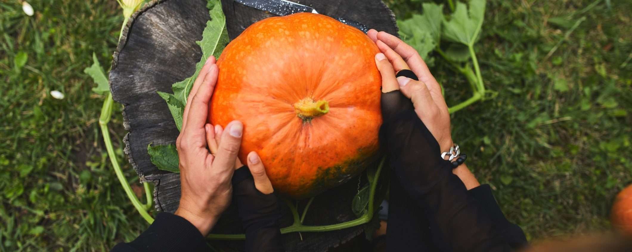 Conto Corrente Arancio: risparmi al sicuro e ZERO spese Conto Corrente Arancio: risparmi al sicuro e ZERO spese