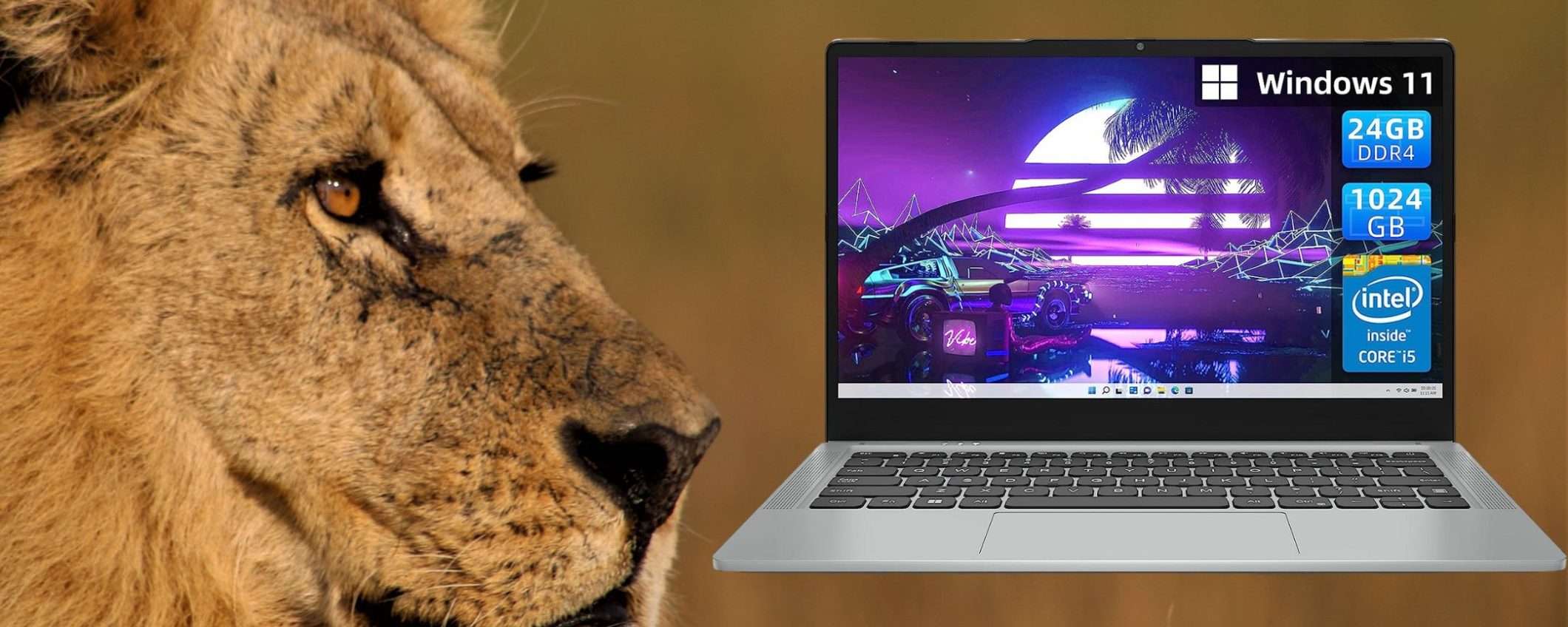 RAM 24GB, SSD 1TB e Intel Core i5: una BESTIA di PC portatile a 494€ (-74%) RAM 24GB, SSD 1TB e Intel Core i5: una BESTIA di PC portatile a 494€ (-74%)