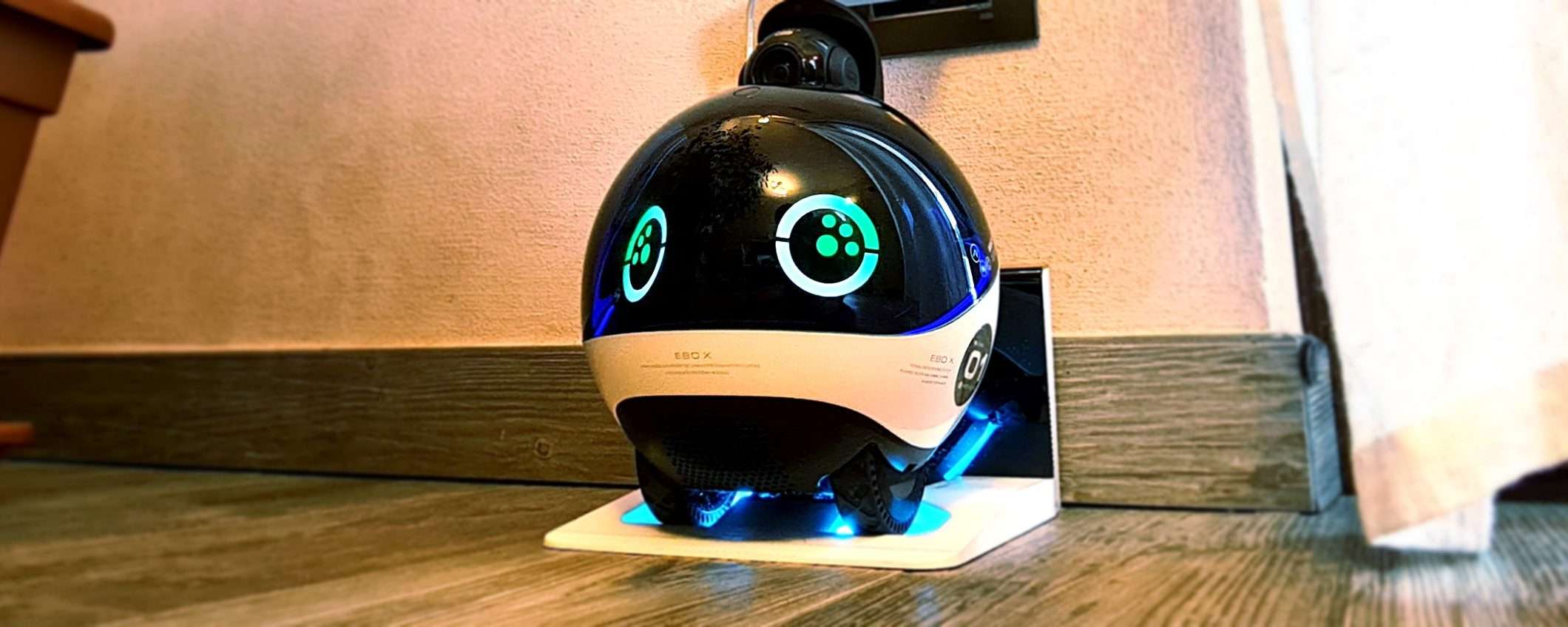 Enabot Ebo X: un robot per amico Enabot Ebo X: un robot per amico