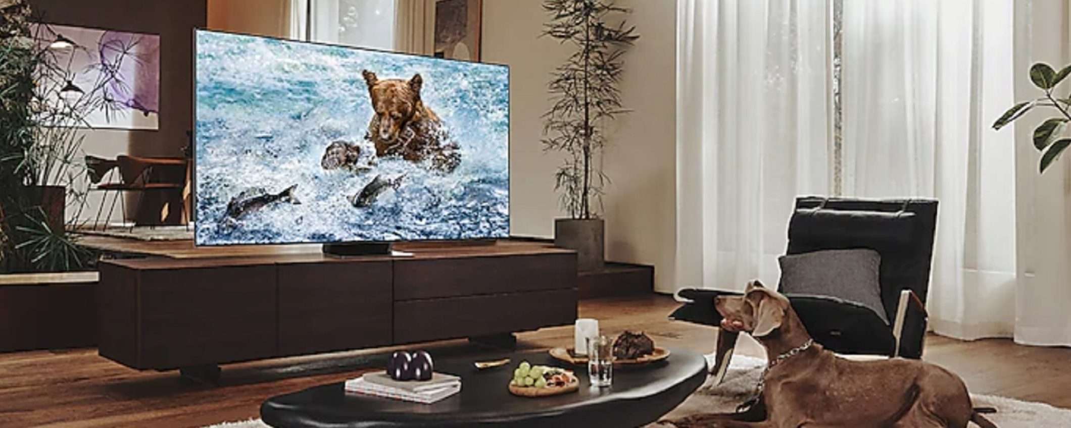 Vuoi vederci più chiaro? Samsung Neo QLED 8K da 55 Vuoi vederci più chiaro? Samsung Neo QLED 8K da 55