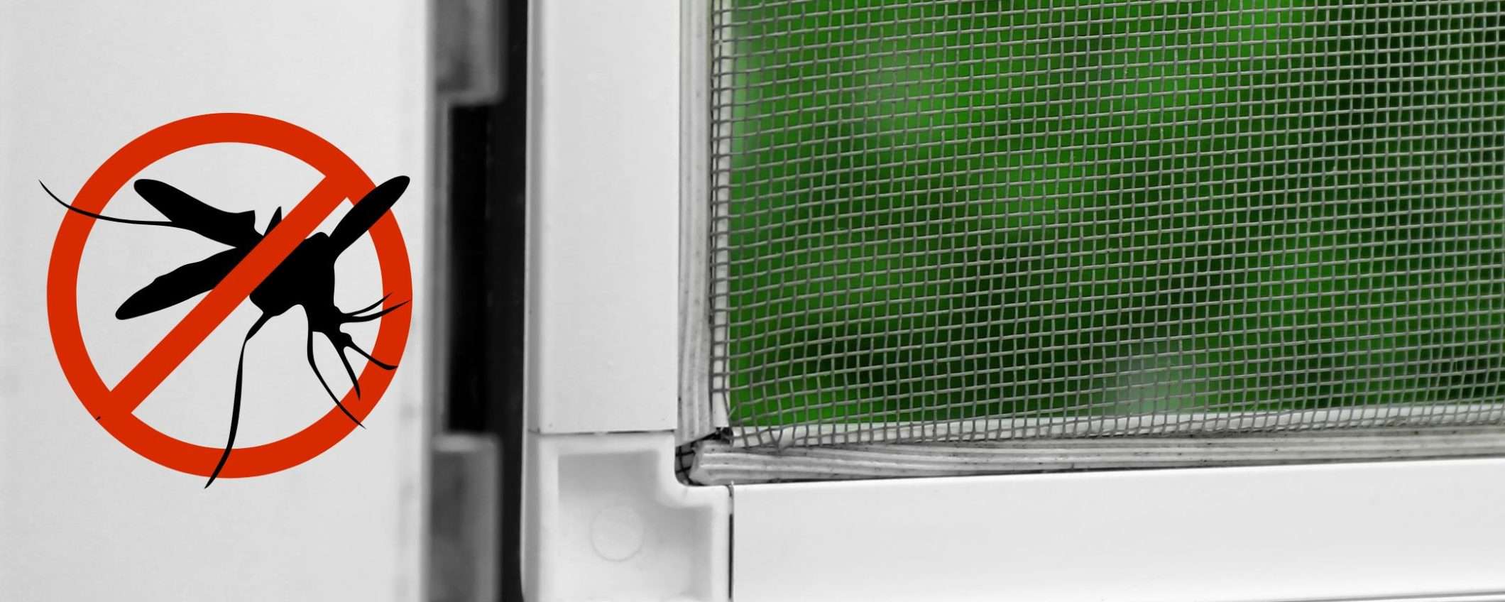 Zanzariera a NUOVA VITA con 5€: il sistema infallibile per ripararle da solo Zanzariera a NUOVA VITA con 5€: il sistema infallibile per ripararle da solo