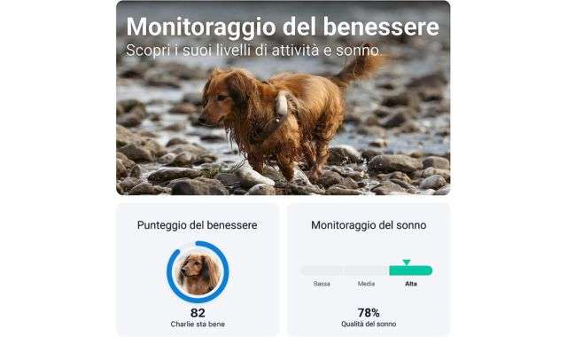 Monitoraggio GPS per cani