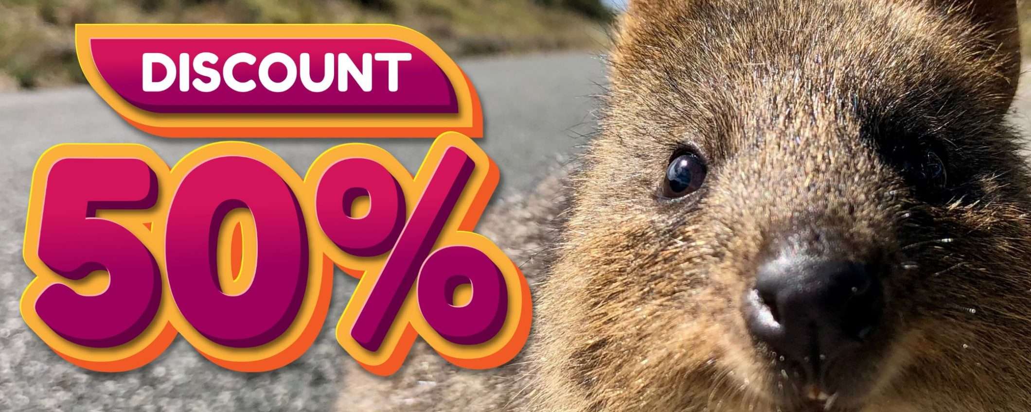 Amazon della FELICITÀ, tutto al 50%: 5 cose utilissime da 10€ fino a 25€ Amazon della FELICITÀ, tutto al 50%: 5 cose utilissime da 10€ fino a 25€