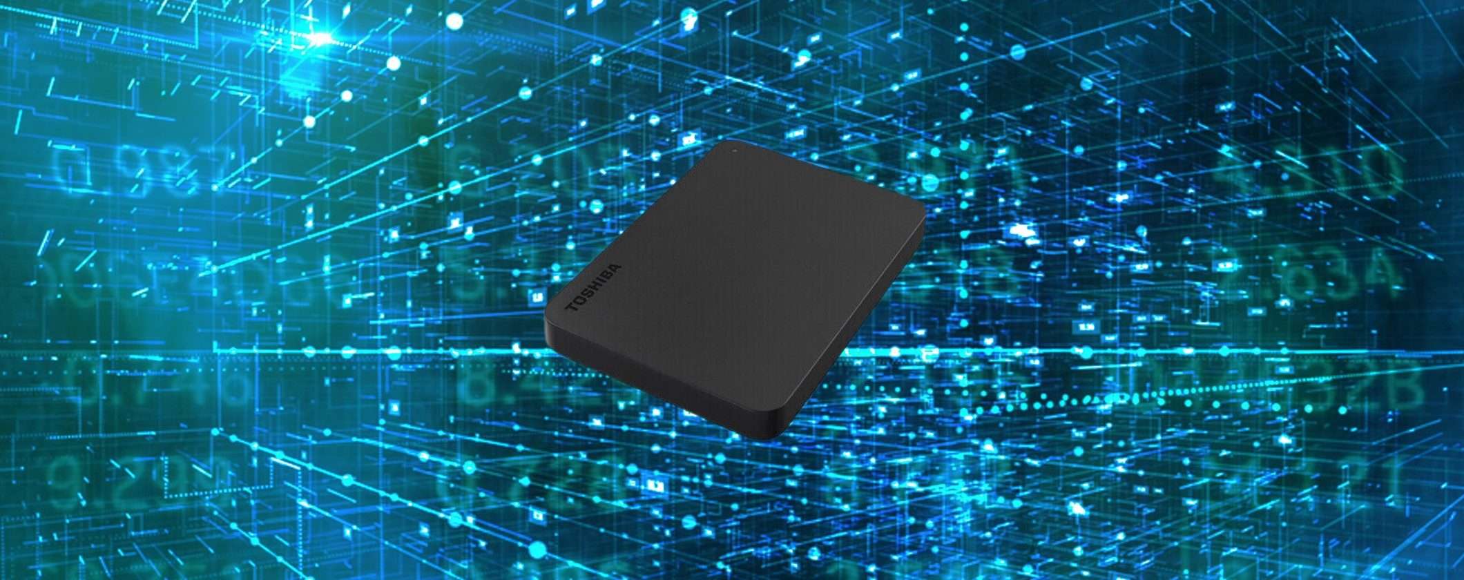 Hard Disk Esterno MAX CAPIENZA in super prezzo su eBay Hard Disk Esterno MAX CAPIENZA in super prezzo su eBay
