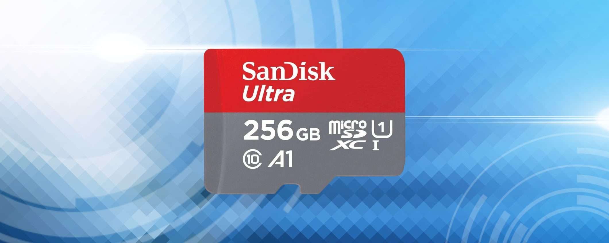 MicroSD 256GB velocissima e in SUPER SCONTO: risparmi il 64%