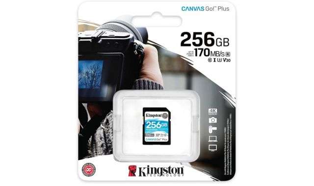 SD Kingston 256GB