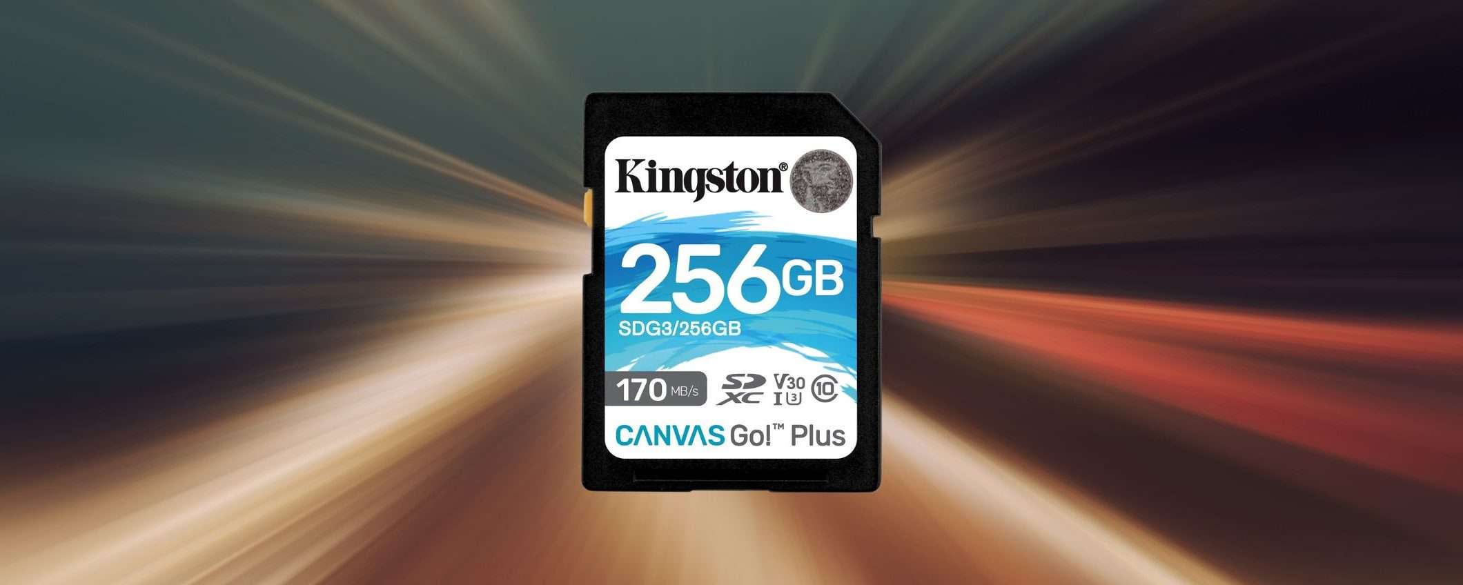Scheda SD Kingston 256GB: prezzo BOMBA su Amazon (20€)