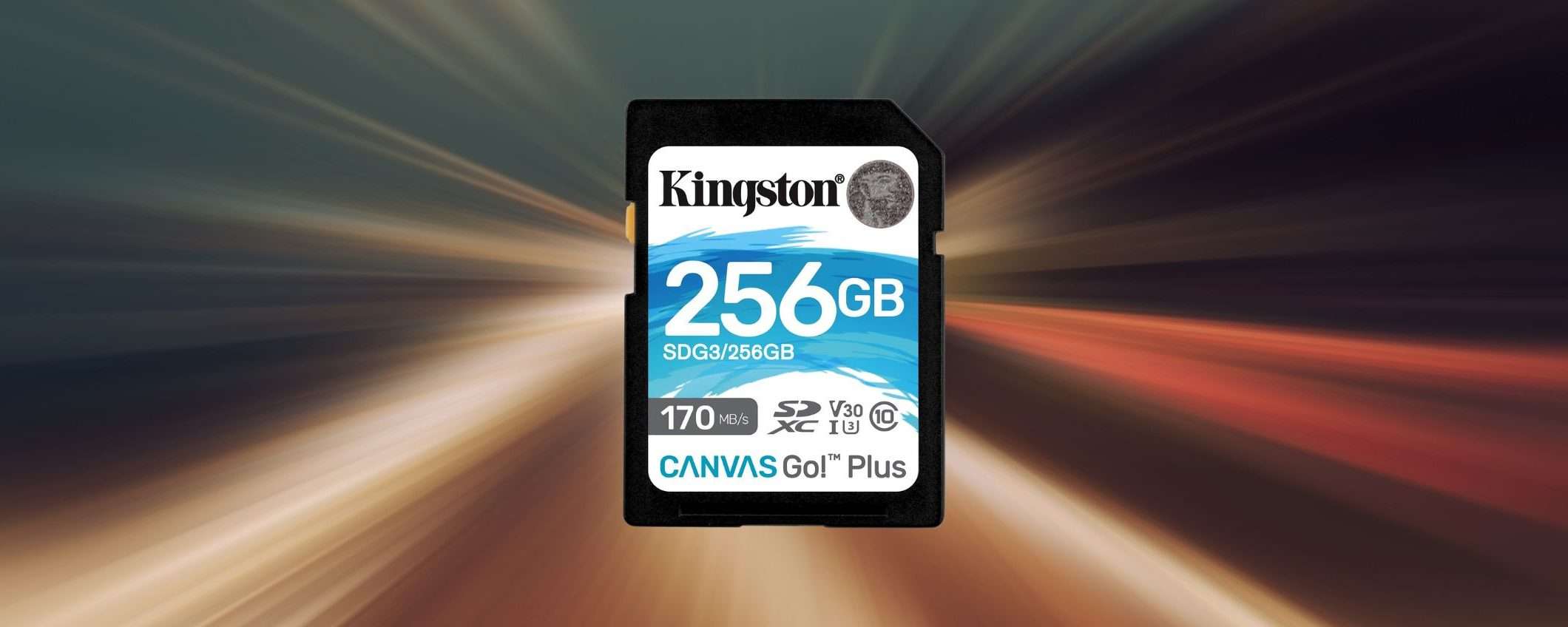 Scheda SD Kingston 256GB: prezzo BOMBA su Amazon (20€) Scheda SD Kingston 256GB: prezzo BOMBA su Amazon (20€)