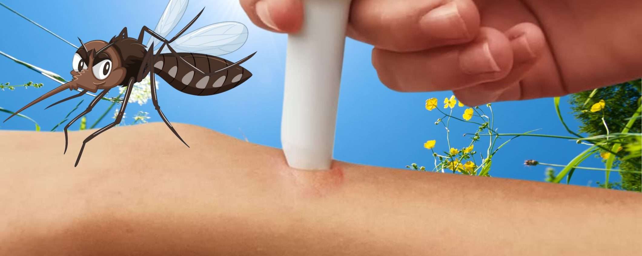 Puntura di zanzara: SOLLIEVO immediato con questa genialata da 9€ Puntura di zanzara: SOLLIEVO immediato con questa genialata da 9€
