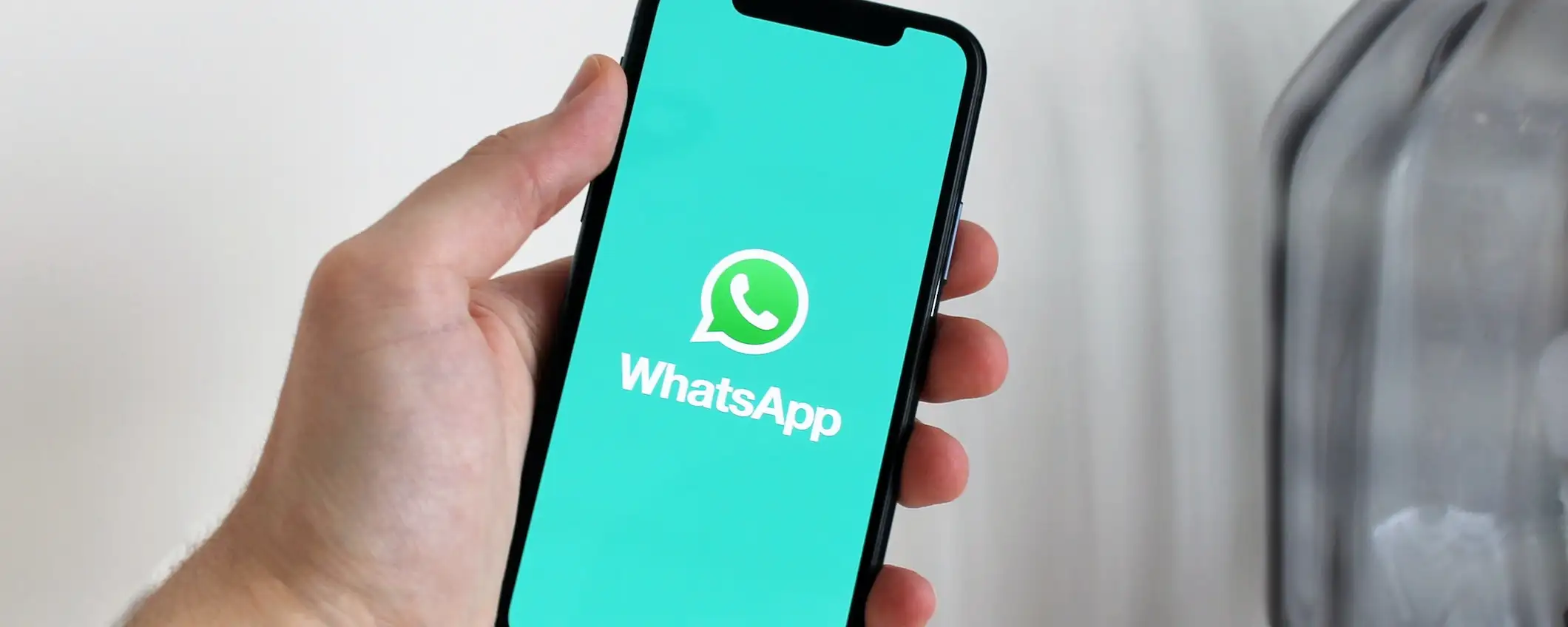 Whatsapp: arriva la cronologia per le chat di gruppo Whatsapp: arriva la cronologia per le chat di gruppo