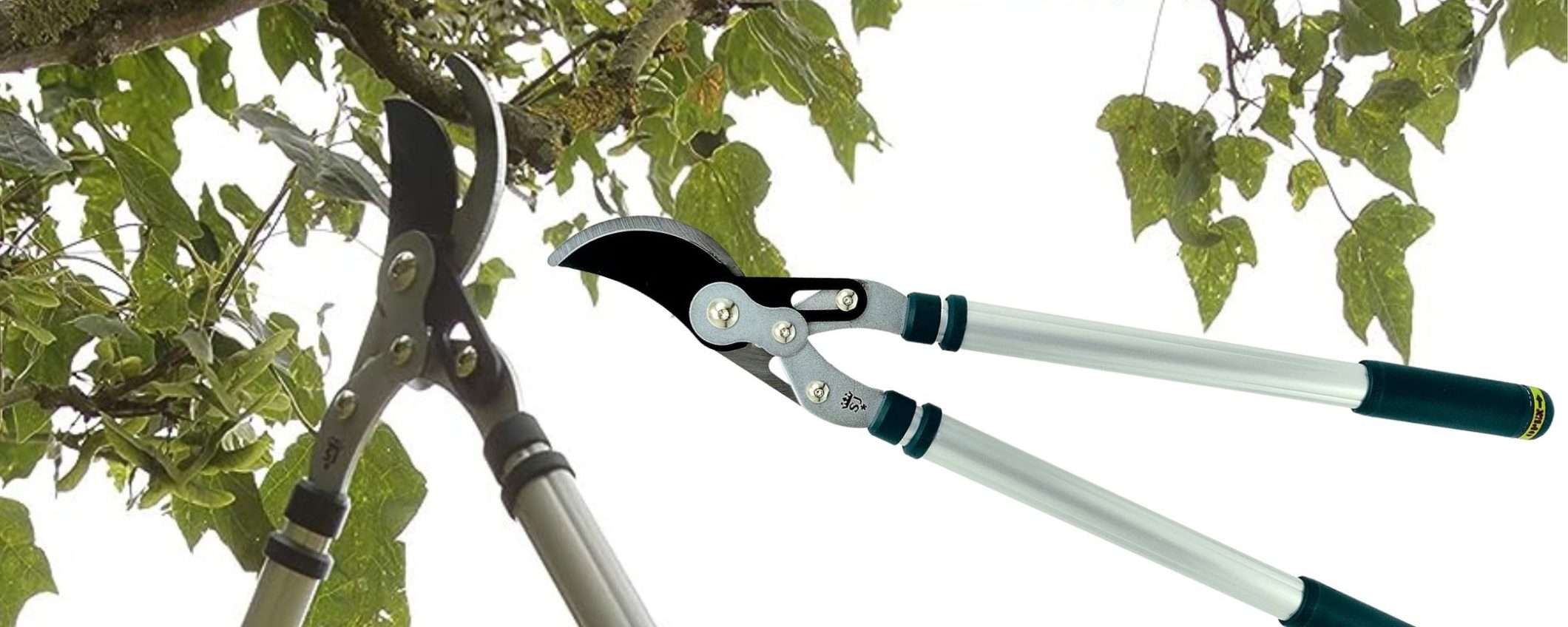 Sconto 72% per questo troncarami telescopico PREMIUM: solo 18€ (Amazon) Sconto 72% per questo troncarami telescopico PREMIUM: solo 18€ (Amazon)