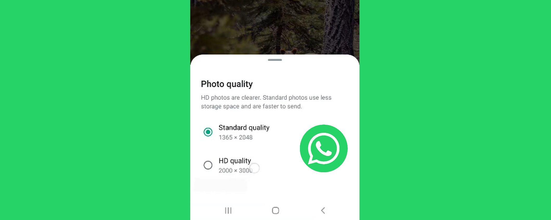 WhatsApp: invio foto in HD disponibile ufficialmente per tutti