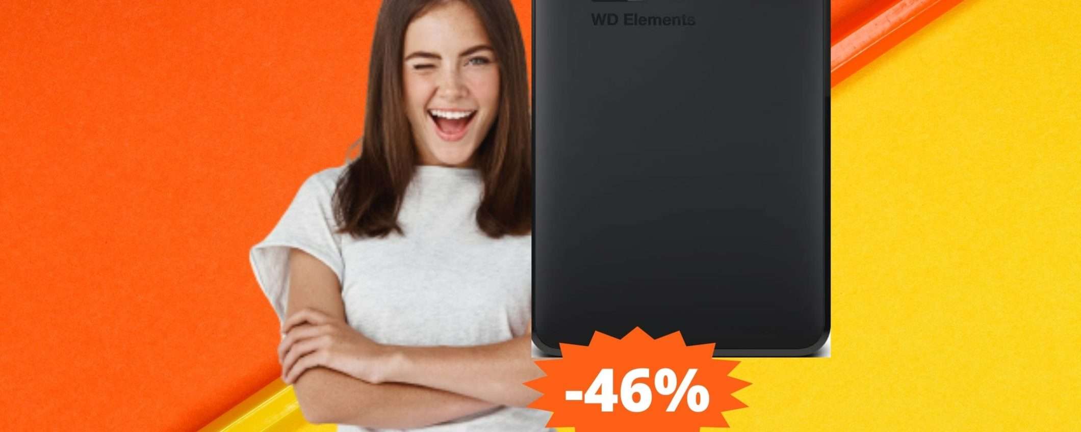 Hard Disk WD da 2TB: un'OCCASIONE unica su Amazon (-46%) Hard Disk WD da 2TB: un'OCCASIONE unica su Amazon (-46%)