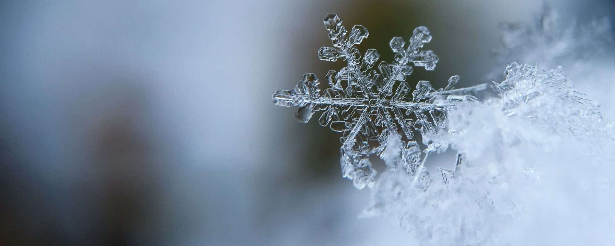Non farti trovare impreparato dall'inverno con questa stufetta elettrica SCONTATISSIMA Non farti trovare impreparato dall'inverno con questa stufetta elettrica SCONTATISSIMA