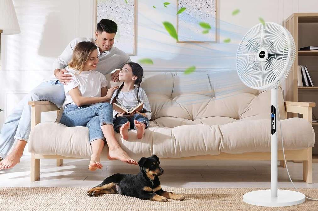 Addio caldo, questo potente ventilatore è in offerta su Amazon: PREZZO DIMEZZATO Addio caldo, questo potente ventilatore è in offerta su Amazon: PREZZO DIMEZZATO